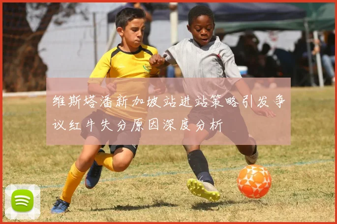 维斯塔潘新加坡站进站策略引发争议红牛失分原因深度分析