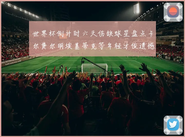 世界杯倒计时六天伤缺球星盘点卡尔费尔明埃基蒂克等年轻才俊遗憾缺席
